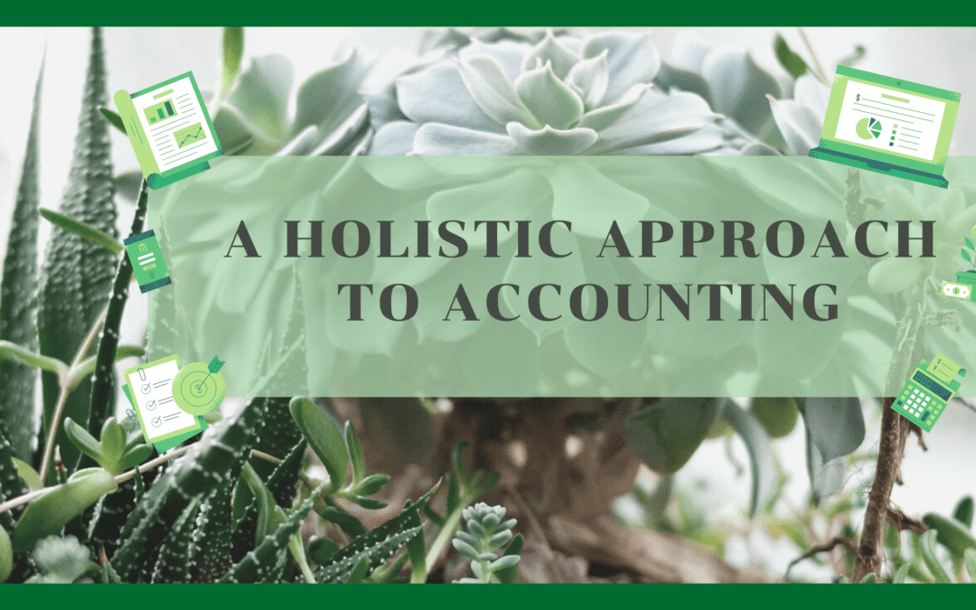 holistic accounting for small business or solopreneurs in Calhan, Cripple Creek
